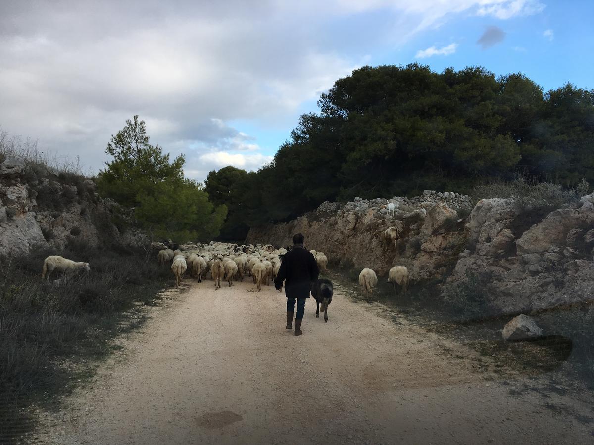 Le Capase Resort Salento サンタ・チェザーレア・テルメ エクステリア 写真